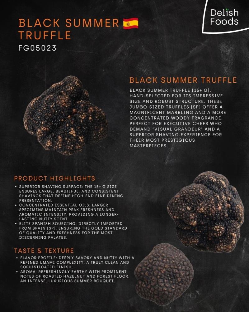 Black Summer Truffle Size 15+