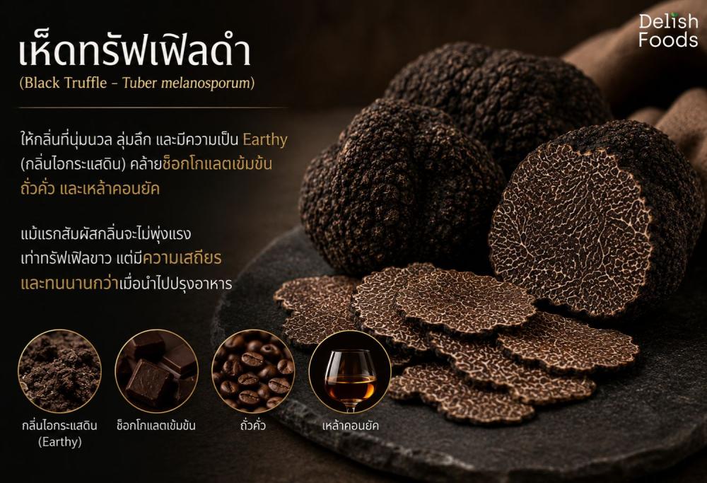 เห็ดทรัฟเฟิลดำ