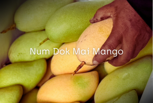 Nam Dok Mai Mango