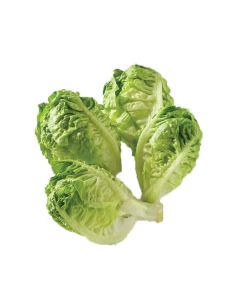 เบบี้คอส Baby Cos