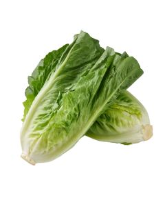 โรเมนคอส Romaine Cos