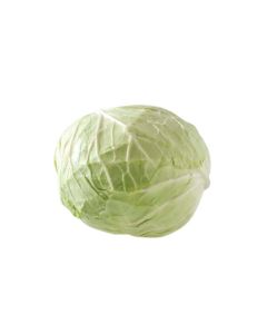 กะหล่ำปลี Cabbage