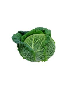 (FR) Green Cabbage Savoy/Choux Vert Frise