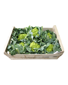 (FR) Romanesco cauliflower