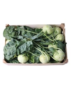(FR) Kohlrabi (10kg/box)