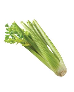 เซเลอรี่ Celery
