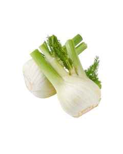 เฟนเนลหัว Bulb Fennel