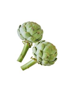 (FR) Camus Artichoke