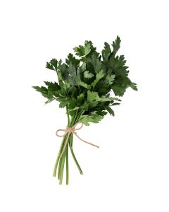 อิตาเลี่ยนพาสเลย์ Italian Parsley