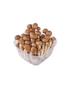 เห็ดชิเมจิน้ำตาล Shimeji Brown 125g