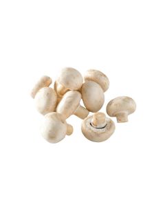 เห็ดแชมปิญอง Champignon Mushroom