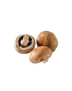 เห็ดพอทโทเบลโล่(7-10cm) Portobello Mushroom