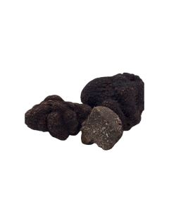 (SP) Black Winter Truffle Selection Size 8-15 g