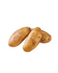 มันฝรั่งเบอร์โอ Potato Size O
