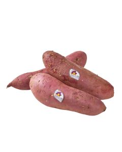 มันหวานญี่ปุ่น พันธ์แท้เบนิฮารุกะ  Sweet Potato Beni Haruka