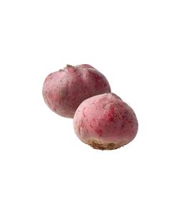 (FR) Target beetroot (Chioggia Beetroot)