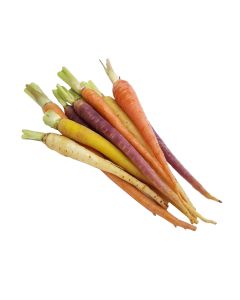 (AUS) แครอท 4 สี Heirloom Baby Carrot