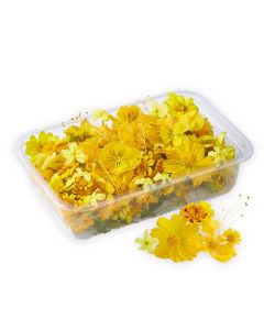 ดอกไม้ทานได้คละโทนสีเหลือง Mixed Edible Flowers (Yellow)