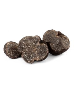 (SP) Black Winter Truffle Selection Size 15+ g