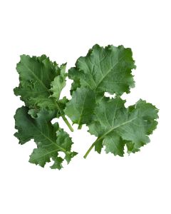 เบบี้คะน้าฝรั่งใบหยิก Baby Curly Kale