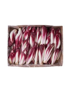 (FR) Red Endive (2.5 kg/box)