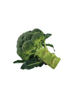 บรอกโคลี่ Broccoli