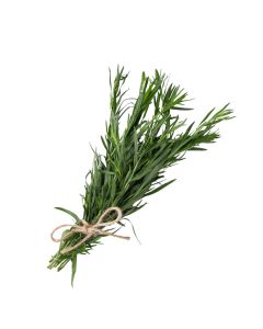 โรสแมรี่ Rosemary