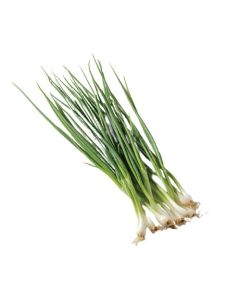 ต้นหอม Spring Onion