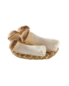 เห็ดออรินจิ Erinji Mushroom