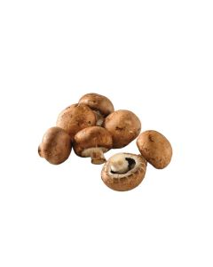 เห็ดสวิส บราวน์ Swiss Brown Mushroom