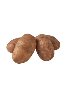 มันฝรั่งรัสเซท Potato Russet