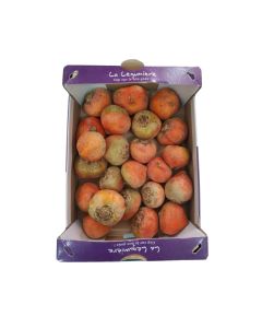 (FR) Yellow Beetroot