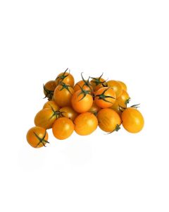 มะเขือเชอรี่กลมสีเหลือง Yellow Berry Tomato