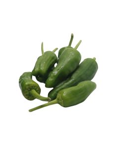(FR) Padron Pepper Green (2 kg/box)