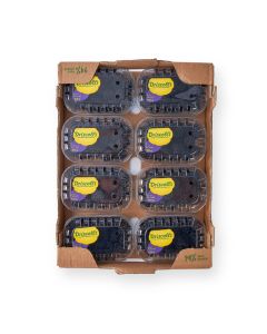 (FR) Blackberry (125 g/pack)