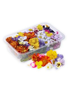 ดอกไม้ทานได้คละ Mixed Edible Flowers