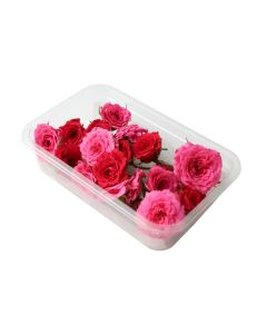 ดอกกุหลาบ Edible Rose